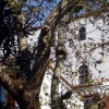 2007.04.01. - Samothraki
